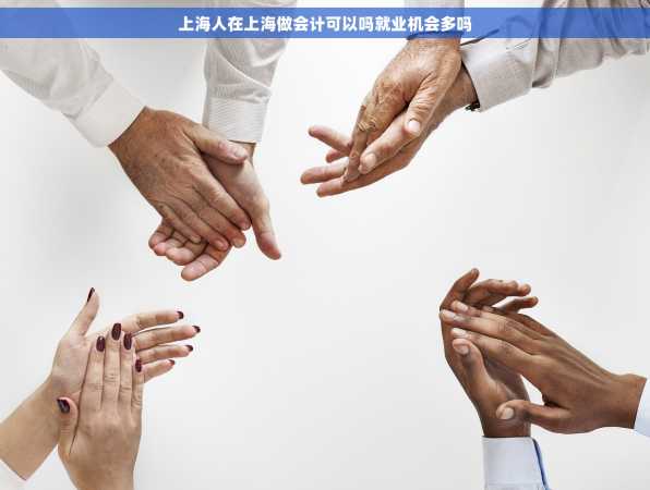 上海人在上海做会计可以吗就业机会多吗