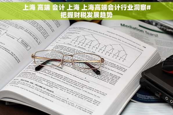 上海 高端 会计 上海 上海高端会计行业洞察#把握财税发展趋势