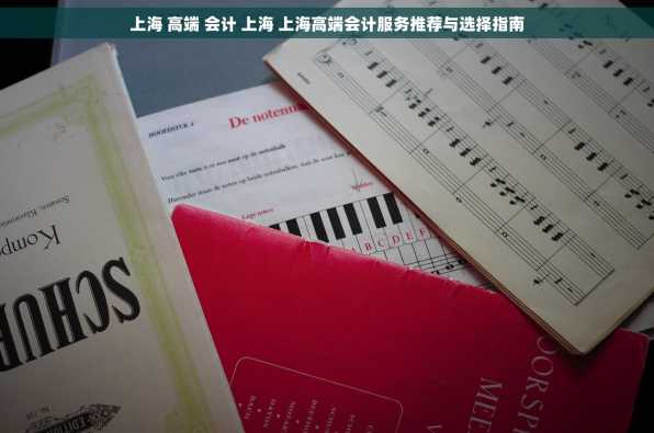 上海 高端 会计 上海 上海高端会计服务推荐与选择指南