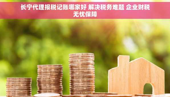长宁代理报税记账哪家好 解决税务难题 企业财税无忧保障