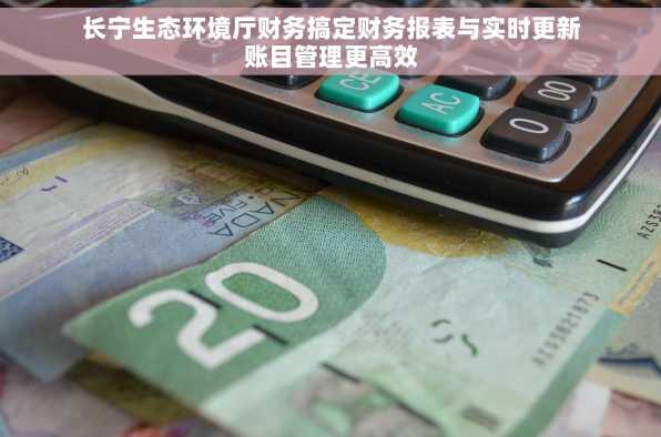 长宁生态环境厅财务搞定财务报表与实时更新账目管理更高效
