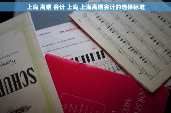 上海 高端 会计 上海 上海高端会计的选择标准