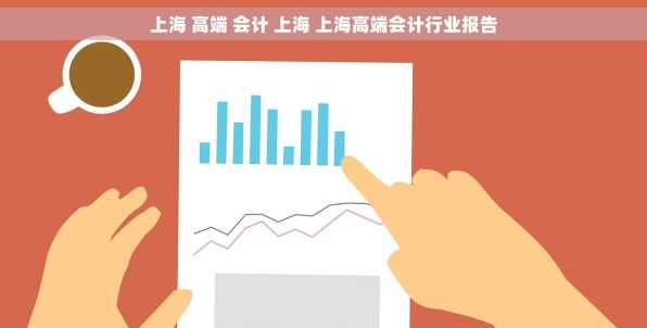 上海 高端 会计 上海 上海高端会计行业报告