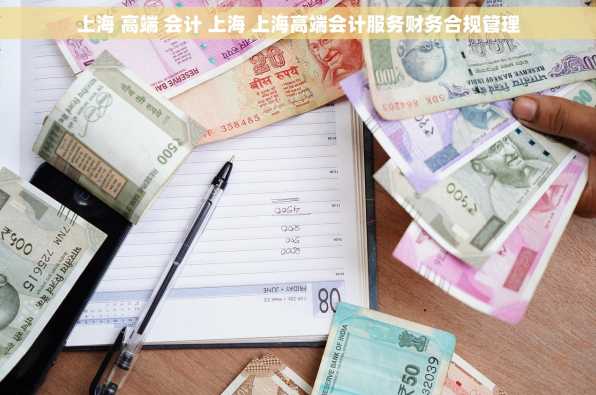 上海 高端 会计 上海 上海高端会计服务财务合规管理