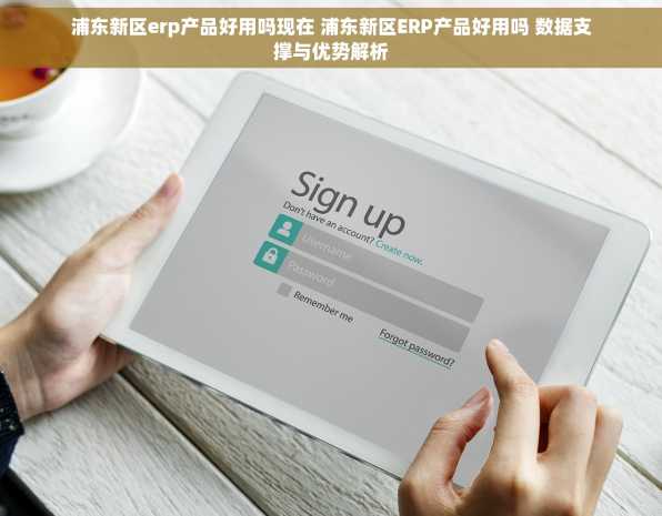 浦东新区erp产品好用吗现在 浦东新区ERP产品好用吗 数据支撑与优势解析