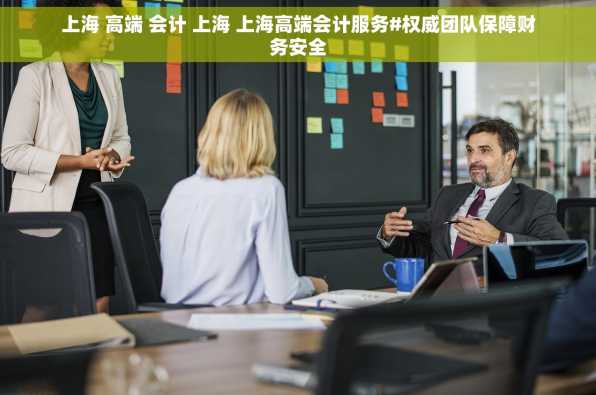上海 高端 会计 上海 上海高端会计服务#权威团队保障财务安全