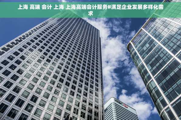 上海 高端 会计 上海 上海高端会计服务#满足企业发展多样化需求