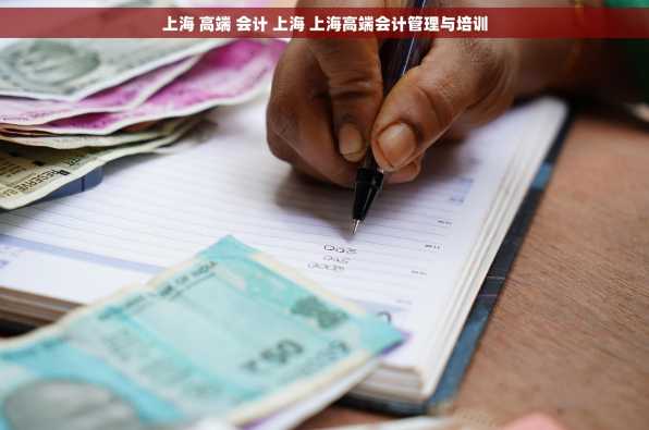 上海 高端 会计 上海 上海高端会计管理与培训