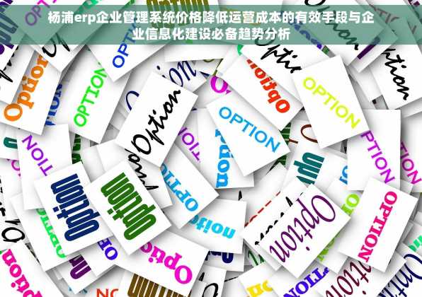 杨浦erp企业管理系统价格降低运营成本的有效手段与企业信息化建设必备趋势分析
