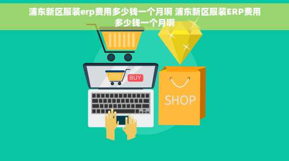 浦东新区服装erp费用多少钱一个月啊 浦东新区服装ERP费用多少钱一个月啊
