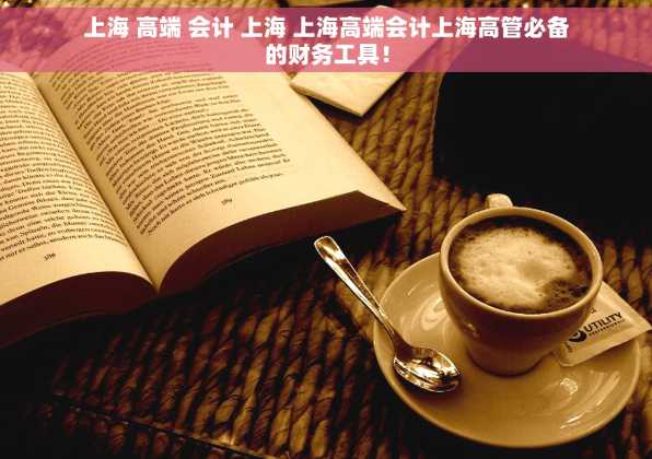 上海 高端 会计 上海 上海高端会计上海高管必备的财务工具！