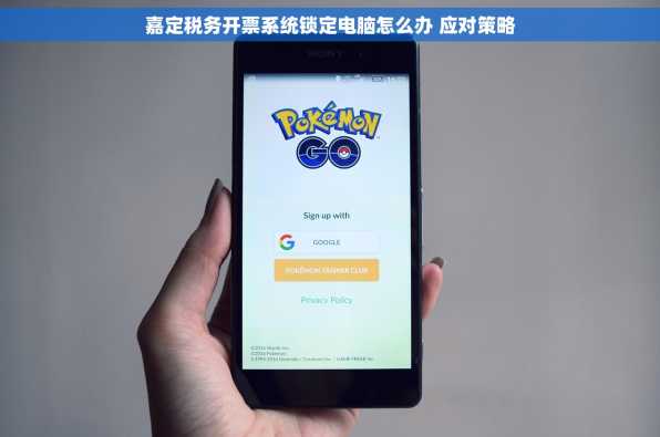嘉定税务开票系统锁定电脑怎么办 应对策略