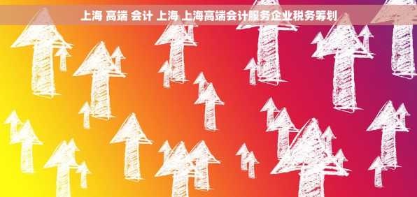 上海 高端 会计 上海 上海高端会计服务企业税务筹划
