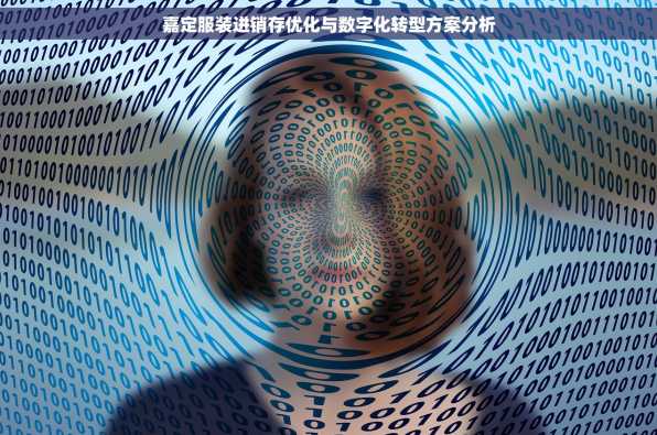 嘉定服装进销存优化与数字化转型方案分析