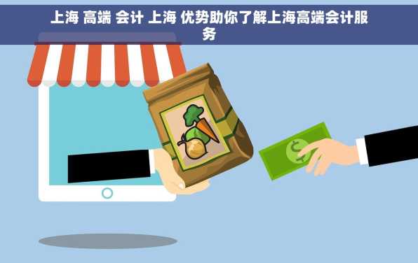 上海 高端 会计 上海 优势助你了解上海高端会计服务