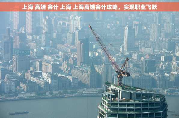 上海 高端 会计 上海 上海高端会计攻略，实现职业飞跃