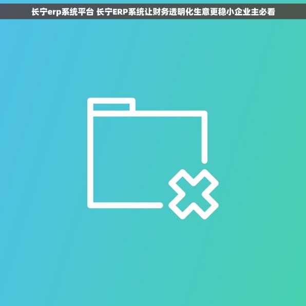 长宁erp系统平台 长宁ERP系统让财务透明化生意更稳小企业主必看