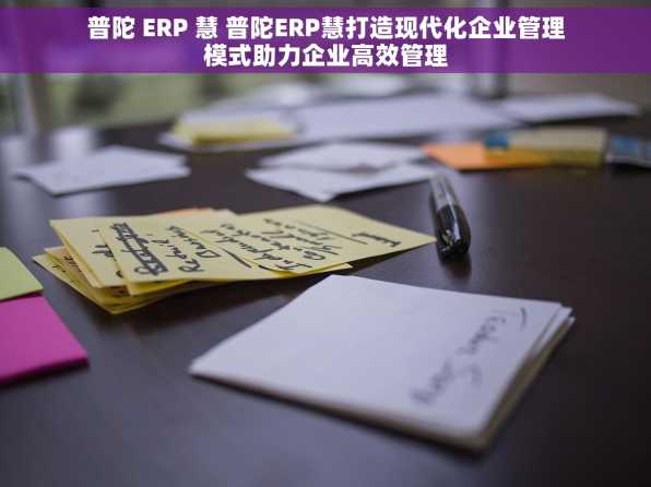 普陀 ERP 慧 普陀ERP慧打造现代化企业管理模式助力企业高效管理