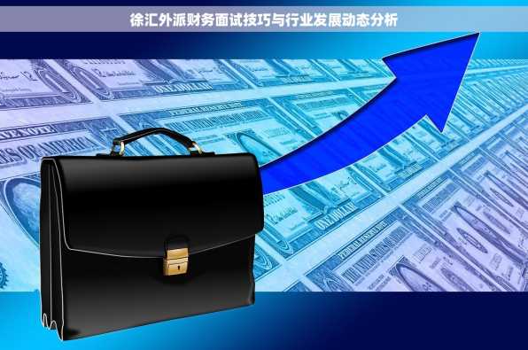 徐汇外派财务面试技巧与行业发展动态分析