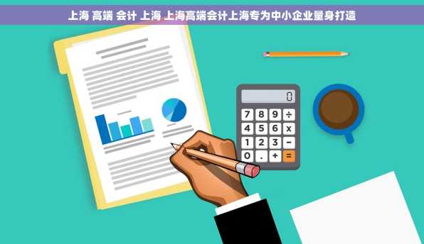 上海 高端 会计 上海 上海高端会计上海专为中小企业量身打造