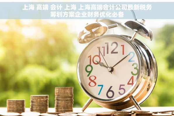 上海 高端 会计 上海 上海高端会计公司最新税务筹划方案企业财务优化必备