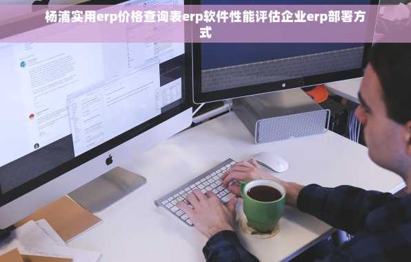 杨浦实用erp价格查询表erp软件性能评估企业erp部署方式