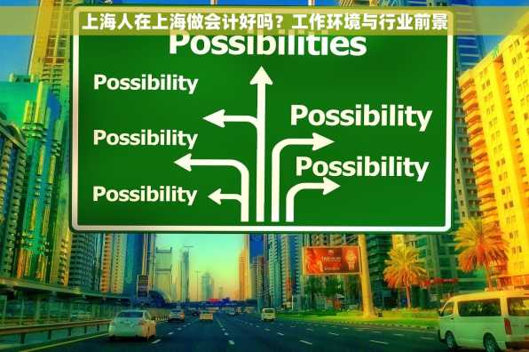上海人在上海做会计好吗？工作环境与行业前景