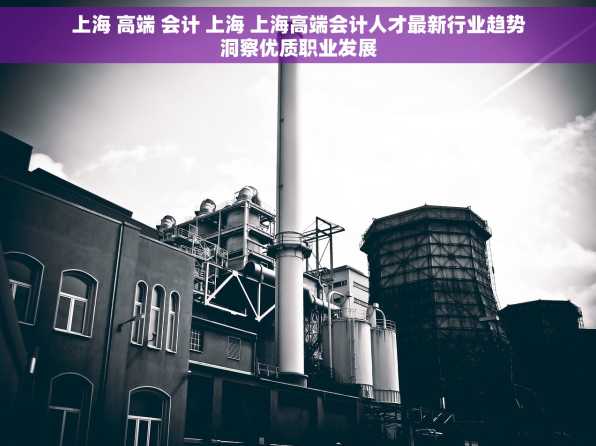 上海 高端 会计 上海 上海高端会计人才最新行业趋势洞察优质职业发展
