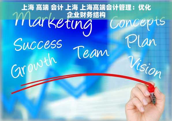 上海 高端 会计 上海 上海高端会计管理：优化企业财务结构