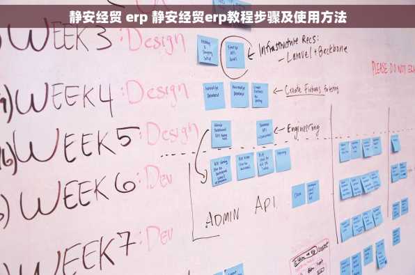 静安经贸 erp 静安经贸erp教程步骤及使用方法