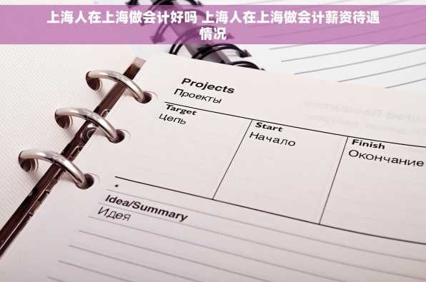 上海人在上海做会计好吗 上海人在上海做会计薪资待遇情况