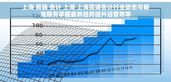 上海 高端 会计 上海 上海高端会计行业动态与精准服务掌握最新趋势提升运营效率