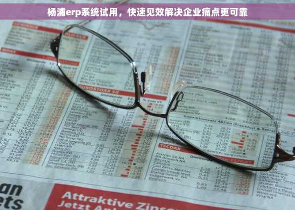 杨浦erp系统试用，快速见效解决企业痛点更可靠