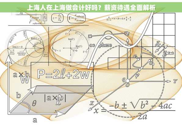 上海人在上海做会计好吗？薪资待遇全面解析