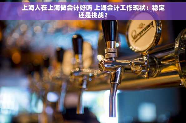 上海人在上海做会计好吗 上海会计工作现状：稳定还是挑战？