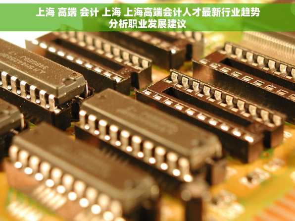 上海 高端 会计 上海 上海高端会计人才最新行业趋势分析职业发展建议