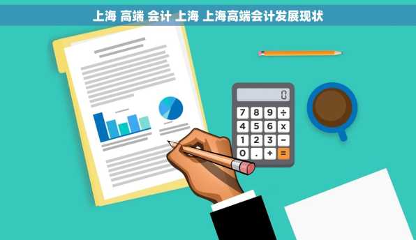 上海 高端 会计 上海 上海高端会计发展现状