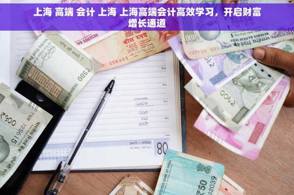 上海 高端 会计 上海 上海高端会计高效学习，开启财富增长通道