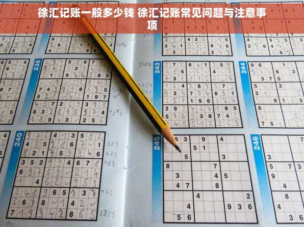 徐汇记账一般多少钱 徐汇记账常见问题与注意事项