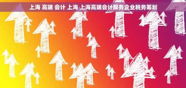 上海 高端 会计 上海 上海高端会计服务企业税务筹划