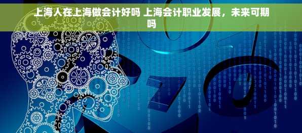 上海人在上海做会计好吗 上海会计职业发展，未来可期吗