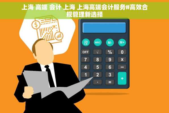 上海 高端 会计 上海 上海高端会计服务#高效合规管理新选择