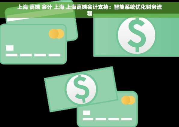 上海 高端 会计 上海 上海高端会计支持：智能系统优化财务流程