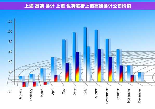 上海 高端 会计 上海 优势解析上海高端会计公司价值