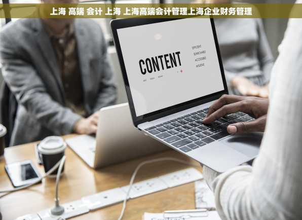 上海 高端 会计 上海 上海高端会计管理上海企业财务管理