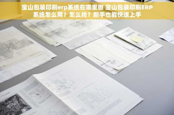 宝山包装印刷erp系统在哪里做 宝山包装印刷ERP系统怎么用？怎么找？新手也能快速上手