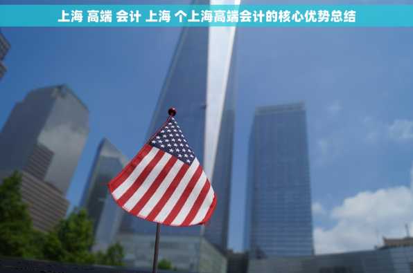 上海 高端 会计 上海 个上海高端会计的核心优势总结
