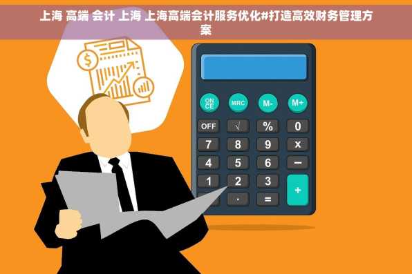 上海 高端 会计 上海 上海高端会计服务优化#打造高效财务管理方案