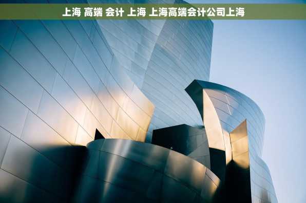 上海 高端 会计 上海 上海高端会计公司上海