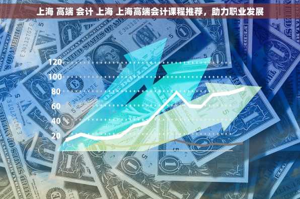 上海 高端 会计 上海 上海高端会计课程推荐，助力职业发展